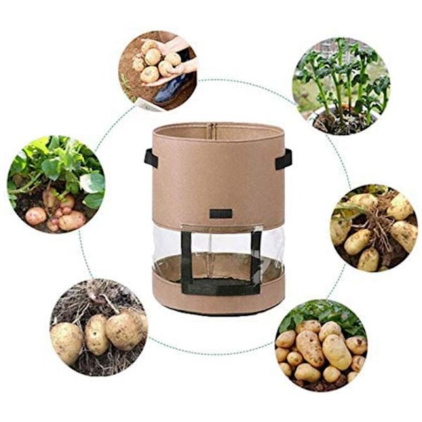 2 förpackningar med 7 gallons potatis - Grönsaker för potatis, tomat