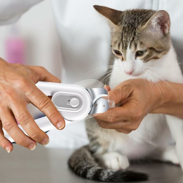 Kattklosax, LED Kattklosax Bärbar Husdjursklosax, Klosax och Klotrimmer för Små Valpar, Kaniner, Kattungar (ljusgrå