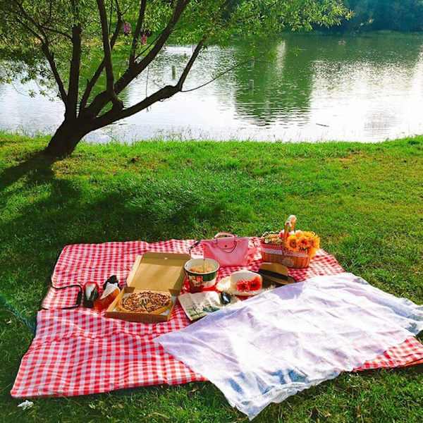 Flettet piknikkurv i landlig stil med lokk, håndtak og fôr til piknik, fester og grillfester