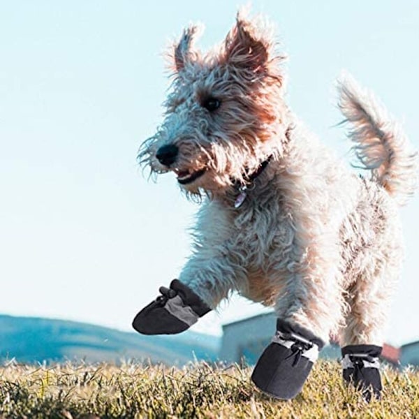 Hundesko for varmt fortau - Potebeskyttelse, sklisikker såle, sommerstøvler for katt og hund med reflekterende stropper, 4 stk