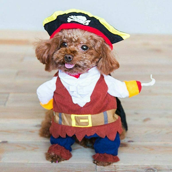 Hundkläder Halloween Pirat Hund Kostym Festkläder Hund Valp Katt Halloween Jul Påsk Semester Fest Evenemang