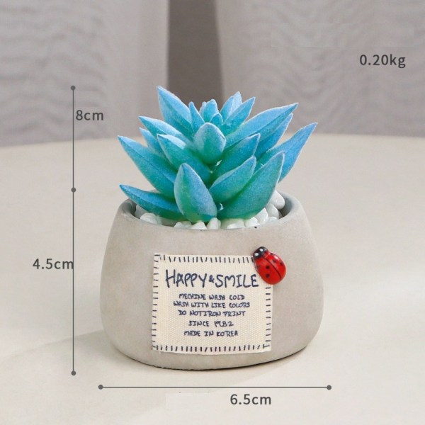 Mini sukkulent mikro landskap simulering potteplante (blå bergamott)