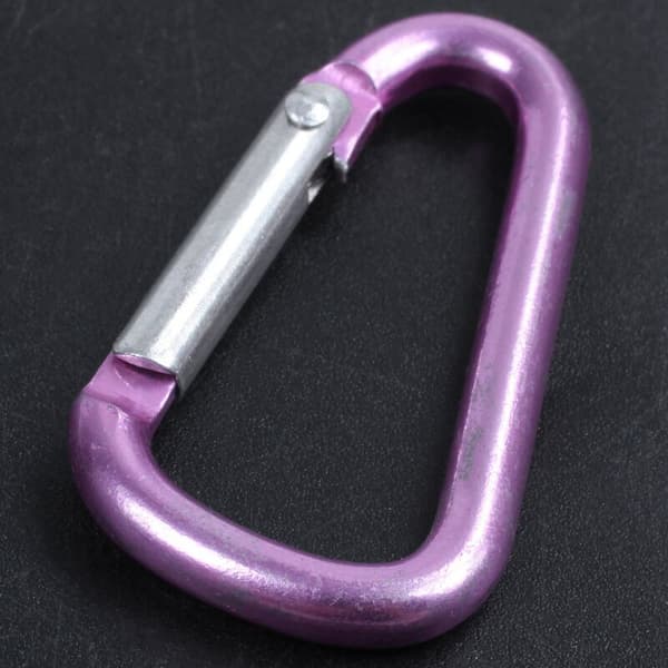 Aluminiumlegering D-ring fjäderhakslås