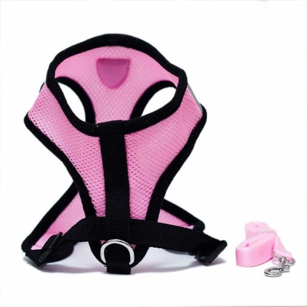 Husdjurskoppel (Rosa, L)-