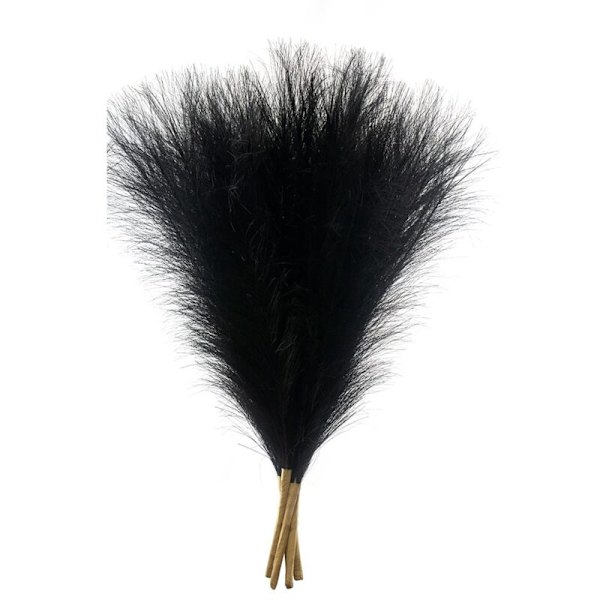 Teko Pampas Ruoho, 18 Tuumaa/45Cm Teko Pampas Ruoho Pörröinen 5 Varren Pompous Ruoho Kukka-Asettelu (Musta)
