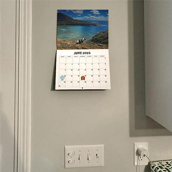 Väggkalender 2024 Januari till December 11X8.5 Tum Konst Gag Humor Pranks för Julgåva