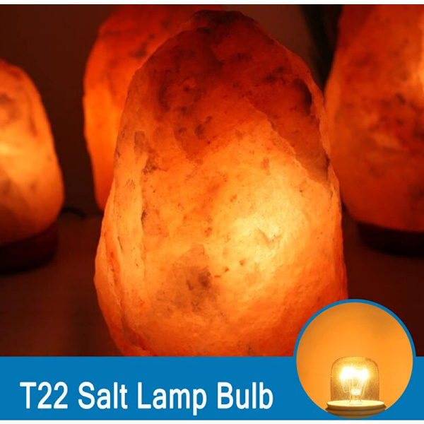 Ugnlampa 15W 300 Grader E14 Dimbar, AC220V-240V, E14 T22 Glödlampa, 85LM Varmvit 2300K, E14 Liten Skruvsockel Pygmélampor