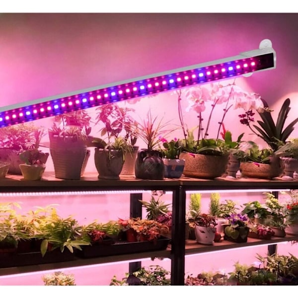 Hortikulturelt plantelys, automatisk timing - på/av, 48 LED plantevekstlys, for innendørs planter