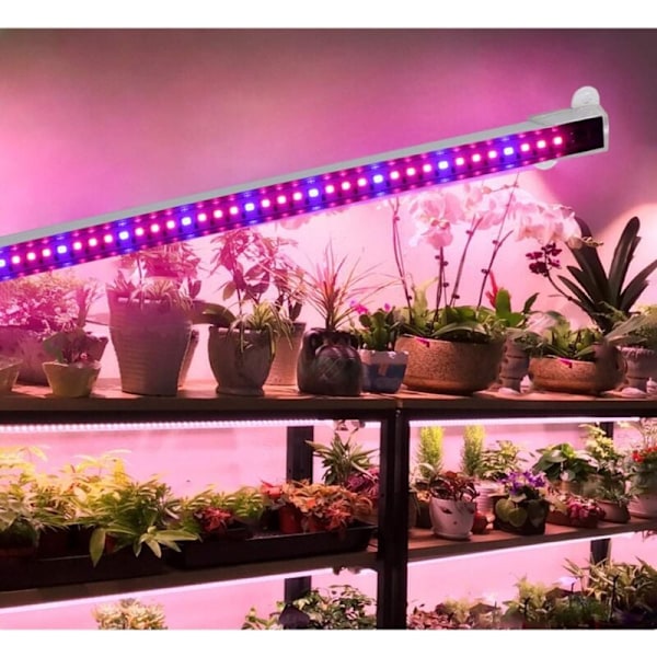 Växtlampa för inomhusväxter, automatisk timer - på/av, 48 LED-lampor, för inomhusväxter