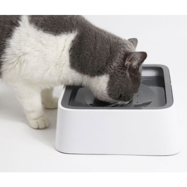 Uppgradering av hundvattenskål 70 oz stor kapacitet Inget spill Långsam matningsfordon 2L husdjursvattendispenser Resevattenskål för katter