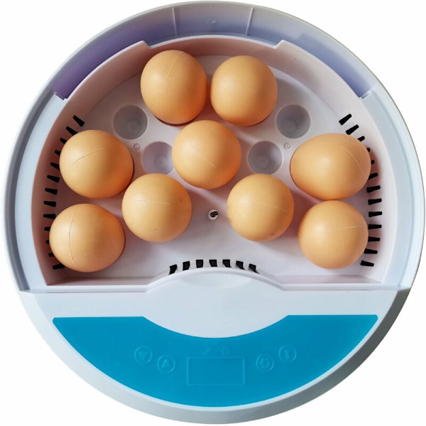 9 Kycklingägg Inkubator med Temperaturkontroll, Sköldpaddsäggkläckare med LED Digital Display Liten Uppfödningsbur för Kycklingar, Ankor, Vaktel