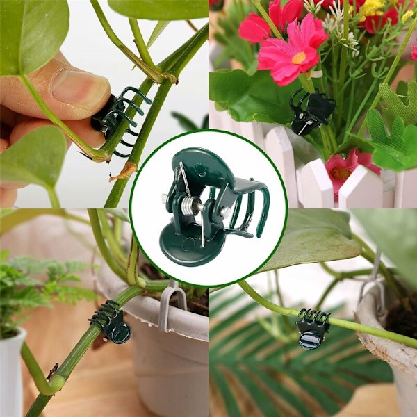 100 stycken växtklämmor, blomklämmor, orkidéklämmor, växtklämmor, för inomhus- och utomhusväxtstöd