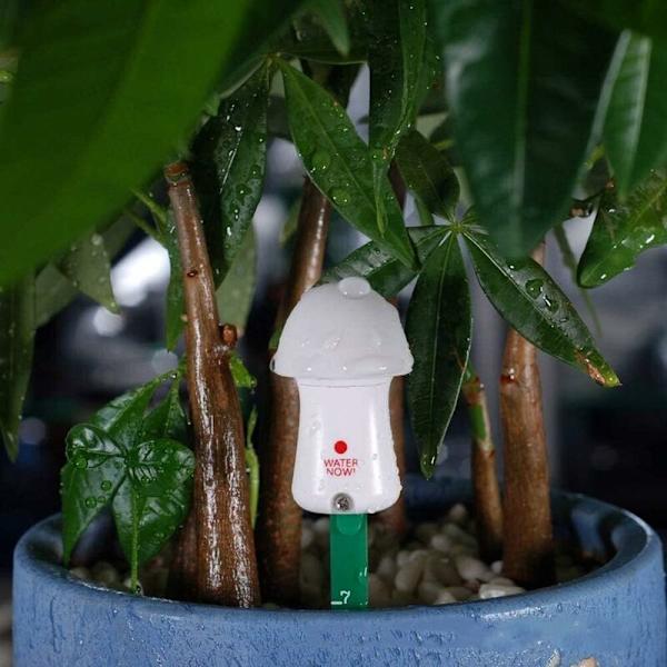 Fuktighetsmåler for planter - Smart jordfuktighetsdetektor - Planteovervåking for innendørs og utendørs planter, blomster, grønnsaker - Hageverktøy