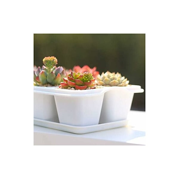 Sukkulente Plantepotter, 5 Styk Kvadratiske Sukkulente Potter Kaktusplante Blomst Pot Pot med Bakke Lille Hvid Blomst Pot til Plantning af Mini Sukkulenter Hvid
