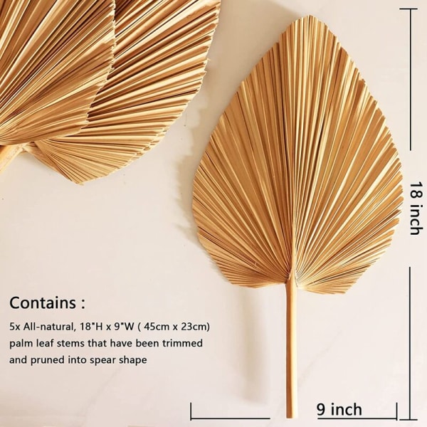 5 stk. 18 tommer naturlige trimmede palmeblade tropiske palmeblade fans boho bryllupsdekoration hawaiiansk dekoration