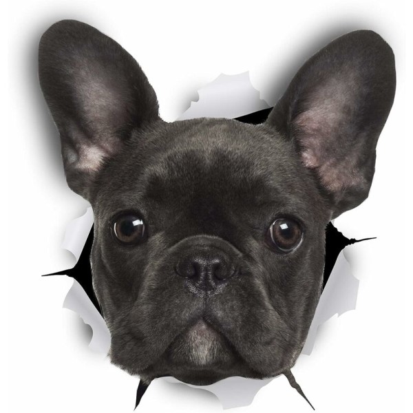 3D Dog Wall Stickers - Pakke med 2 - Morsomme dekorative Stickers - Black French Bulldog Dog Stickers for Vegg - Kjøleskap - Toalett - Rom - Bil - Kjøleskap