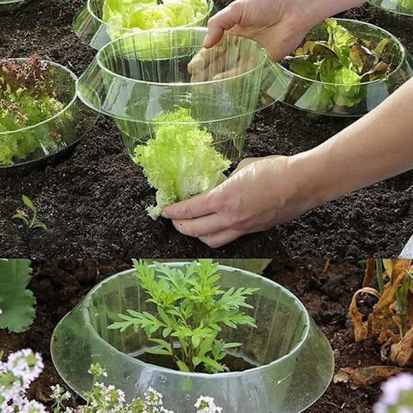6 stk. Vegetabilske Sneglebeskyttelsesdæksler Plante Sneglekrave Beskyttelse Have