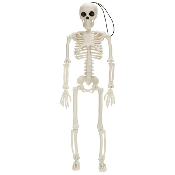5 kpl Halloween-luuranko koristeita, 40 cm kokoinen liikuteltava nivelletty luuranko Halloweeniin, kummitustalon koristeet