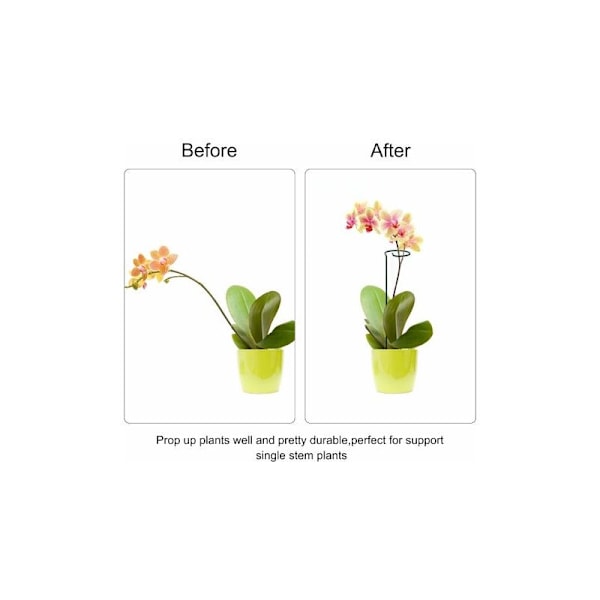 60 stycken växtstöd 40 cm Plant Ring Metall Trädgårdsstöd Ring för Växter Blommor Grönsaker