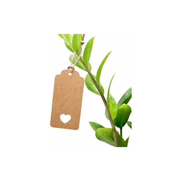 100 kpl ruskea paperilappu 9,5 x 4,5 cm häihin/jouluun/syntymäpäivälahjoihin, matkatavaroihin, 30 m juuttinarulla (ruskea) -