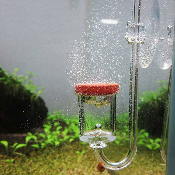 CO2-diffusor, transparent akryl CO2-diffusor, CO2-diffusor til akvarieplanter græs vand (M)