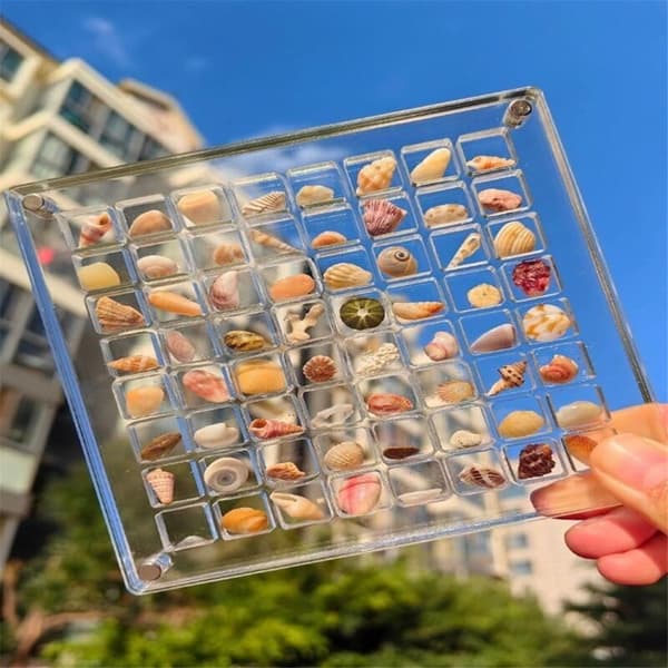 2 stk. Akryl Magnetisk Seashell Display Box Diamant Ædelsten Perler Opbevaring Display Organizer Gitre Klar, C
