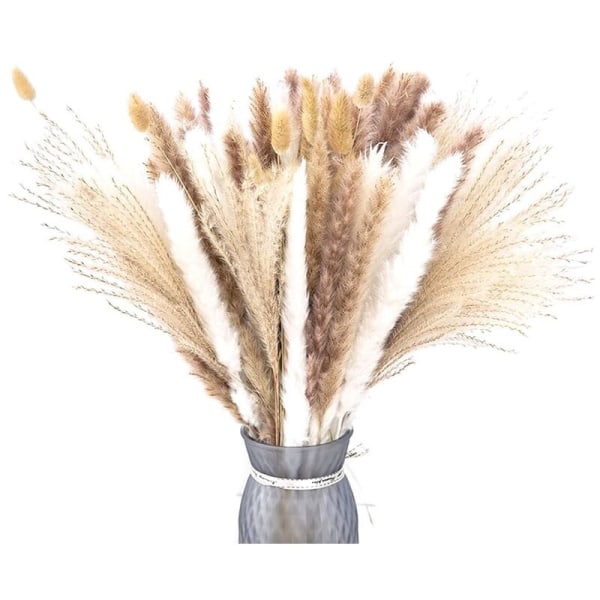 110 kappaletta Pampas-ruohoa, kuivattu Pampas-ruohokoriste sisältää, luonnollinen kuivattu kimppu Boho-sisustukseen