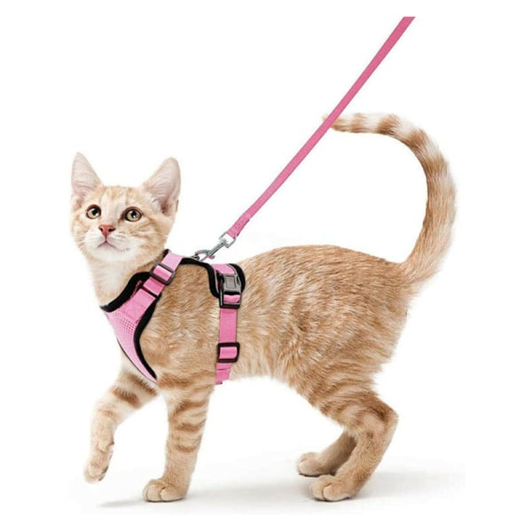 Cat Leash for Small Dogs, Adjustable Kitten Harness, Reflective, Breathable Vest, European Rabbit, Maine Coon Cat, Persian Cat, Attached Leash (Pink