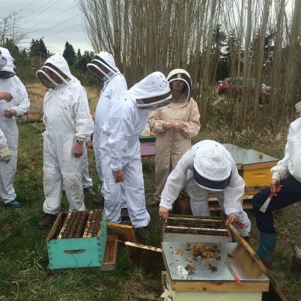 Mehiläishoitopuku Ammattimainen Anti Bee Suojavarusteet Pitkillä Hanskoilla ja Verhohupu Mehiläishoitajalle-XXL,AAFGVC