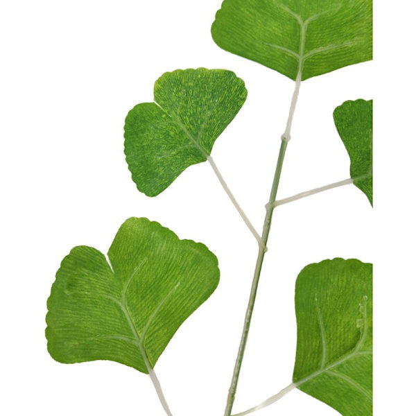 20 stk. kunstige ginkgo-blade til blomsterdekoration