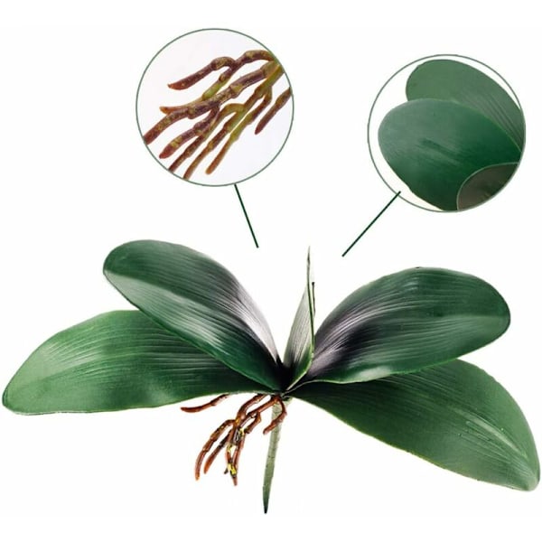 Phalaenopsis-orkidean lehdet, todellinen lateksipintainen kasvien järjestely, 3 kpl - DENUOTOP
