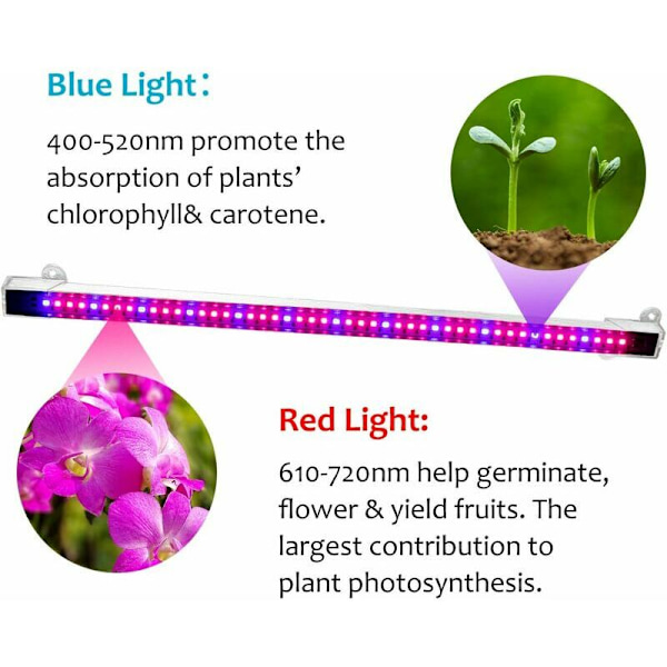 Plantelys, Automatisk Timing - Til/Fra, 48 LED Lys Plantevækstlys, til Indendørs Planter
