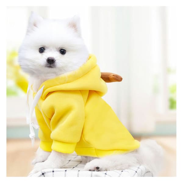 Hunde sweatshirts, kæledyr vinter to-benede sweater, nuttet kat tøj s（M）