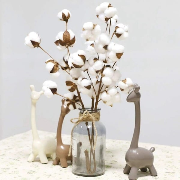 5 stk Naturlig Tørket Bomullstilker Farm Kunstig Blomsterfyll Blomsterdekor Falsk Bomullsblomst DIY Kransdekor