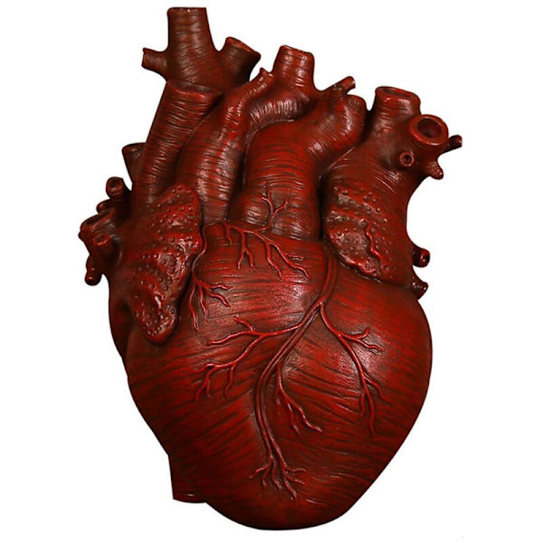 Nordisk stil resin anatomisk hjerte vase skrivebord plantepotte for hjemmedekor-B