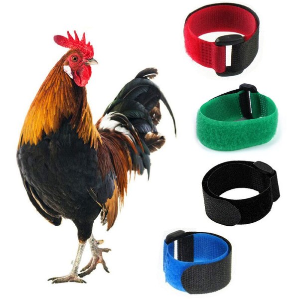 Anti-galande hönshalsband tupphalsband tupphalsband justerbart hönshalsband förhindrar höns från att skrika störande grannar hönshalsband