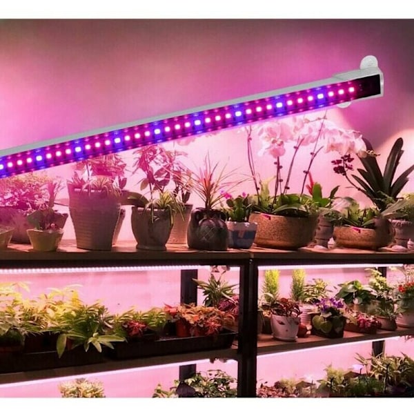 Plantelys med automatisk tænd/sluk-timerfunktion, udstyret med 48 LED'er til at fremme væksten af ​​indendørs planter.