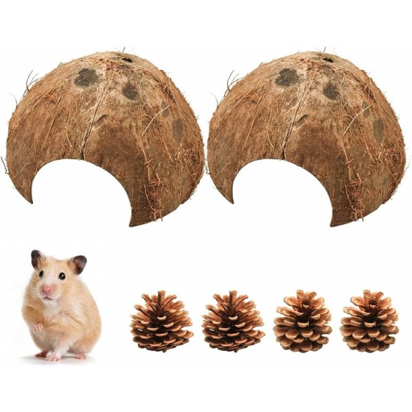 Halve kokosnøttskallbiter, kokosnøttskall som avls- og gjemmested for smådyr, dekor for akvarium for smådyr (ø 10-14 cm)