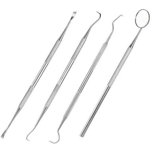 4Pcs Stainless Steel Dental Tool Kit for Dentists, Tooth Scraper Set for Professional Personal Use