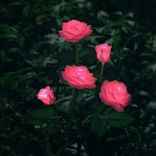 Blomsterformet solcellebelysning til hagedekorasjon -- Rosa