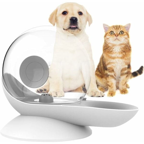 Vattenbehållare för katt och hund, Gravity Cat Drinker, Snigelform, Automatisk kattvattenfontän, Hundvattenbehållare - Lätt att se vattennivån (Grå)