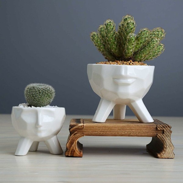 Vit Keramik Blomkruka Succulent Planter Krukor Kreativ Modern Stil Succulent Krukor Artistisk Ansiktsform Keramik Kaktus Bonsai Planterkruka