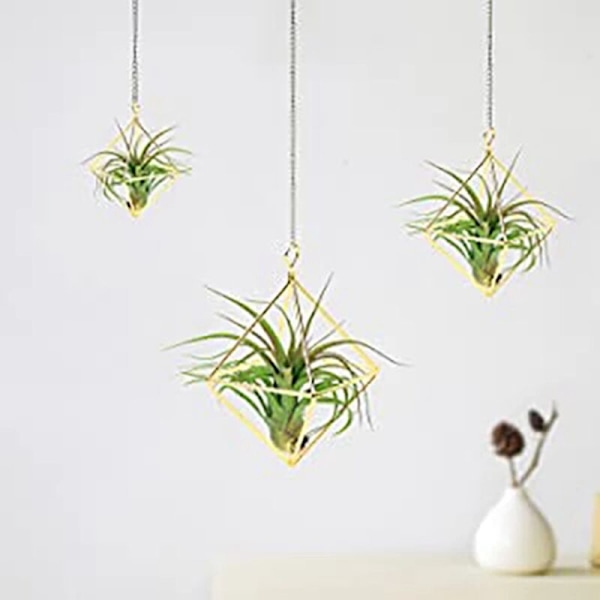 3-pack luftväxtställ, metallblommor, geometrisk modern minimalistisk praktisk dekoration för hem, kontor och bröllop