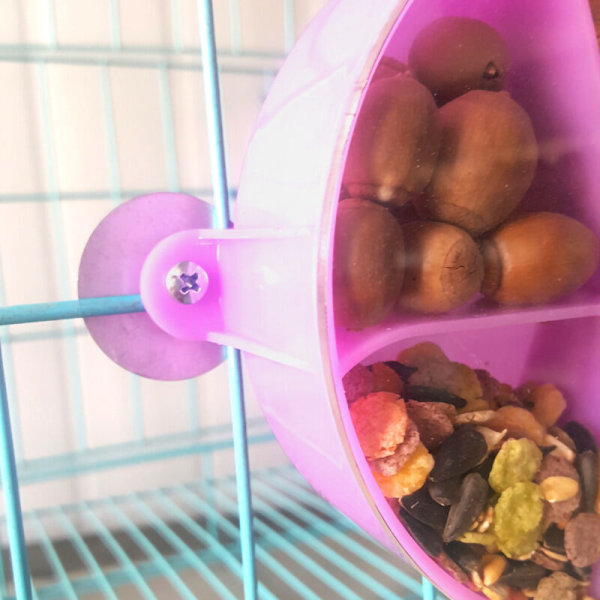 Papegoja Foder Karusell Fågel Leksak Pussel Hjul Tårta Forager Uppdelad i Liten Husdjur Snack Box