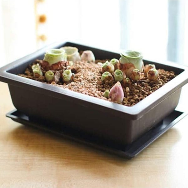 12 st Serie Rektangulär Växtkruka Succulenta Krukor med Hållbara Växtkruka Behållare Brickor