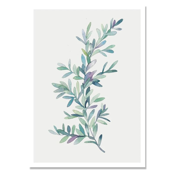 Sukkulenter Planter Nordisk Poster Blad Kaktus Blomster Væghængt Kunsttryk Plakater Og Tryk Lærred Maleri Quadro Billeder Uindrammet 40x50 408