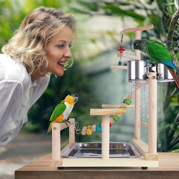 Lekplats för fåglar, papegojlekplats, cockatoo-burtillbehör med matkopp, stege, gunga och bricka för cockatiel