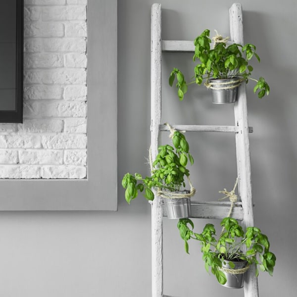 Tvinnet sisaltau 3 tråder 10 m x 6 mm natur