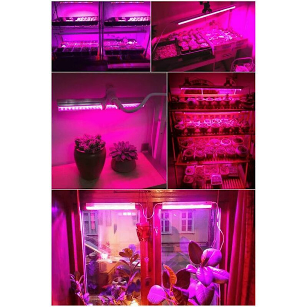 5 stk LED Vækstlys T5 Vækst Rør Plante Vækstlys 29 cm Rød Blå Spektrum til Blomstring og Frugtning Hydroponisk Vækst Drivhus Planter