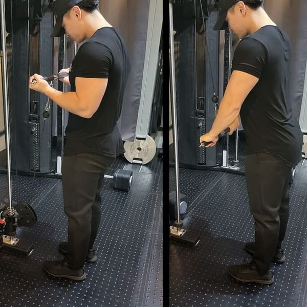 Trening Pull Up Bar Enhet Tilbehør Pull Down Bar Rett Biceps Trekkstang for Hjemmet Gym Kroppsbygging Utstyr